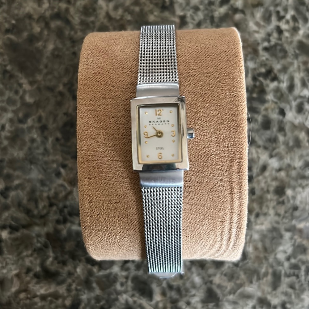 Skagen Denmark Stainless Steel Watch with Mesh Band